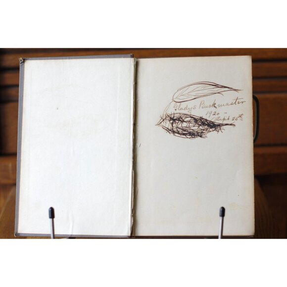 Antique Book "Troublesome Comforts A Story for Children" by Geraldine R. Glasgow - Picture 4 of 6